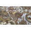 One-of-a-Kind 8'2" X 10' Area Rug