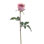 ROSE BUD STEM