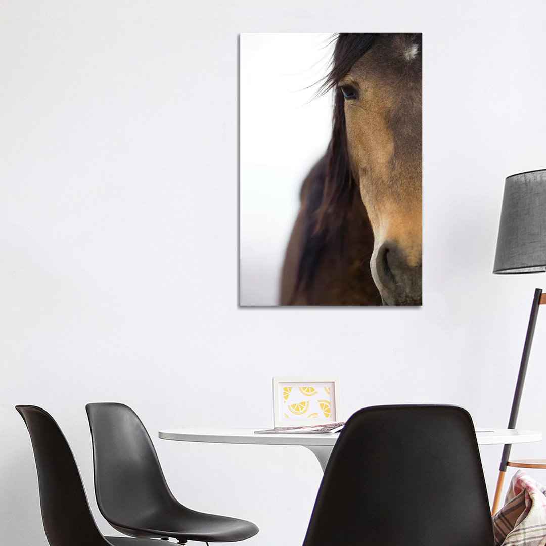 Namib Desert Horse, Namib-Naukluft National Park, Namibia by Cyril Ruoso - Wrapped Canvas Print