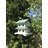 Bird In Hand Hanover House for Purple Martins 15.5 in x 16 in x12.5 in Birdhouse