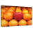 Yarlin Cheers-107869287
