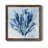 " Chartres "-1419629159-1419629157