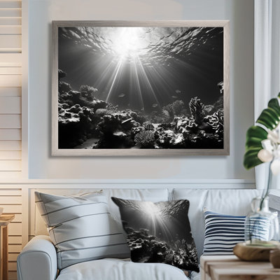 Black And White Coral Underwater Photo - Coastal Coral Under Water Wall Art