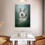 Husky sur l'herbe-853785070