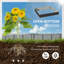 Kiruna Metal Raised Garden Bed