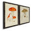 Toile encadrée de qualité supérieure Mushroom Variétés-816178479-816178449