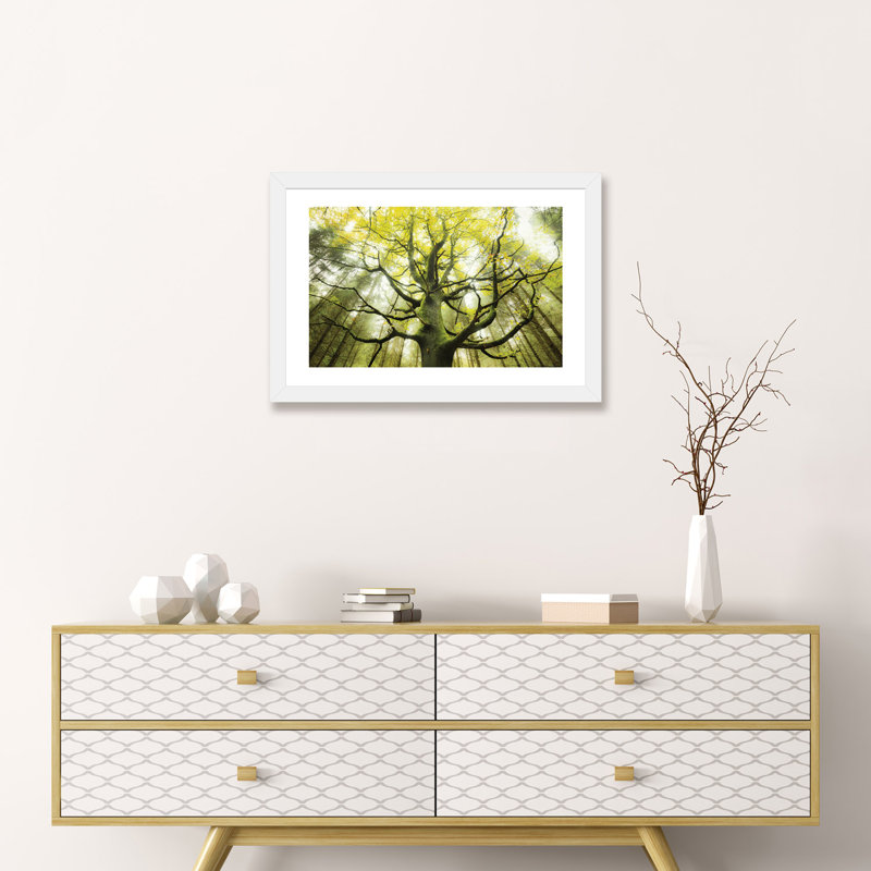 «The Dreamtree» par Stefan Hefele - reproduction de photo, H 16 po x l 24 po x P 1 po, Papier encadré blanc