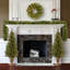 The Holiday Aisle® 4 Piece Evergreen Assortment with Decorative Base and Clear LED Lights