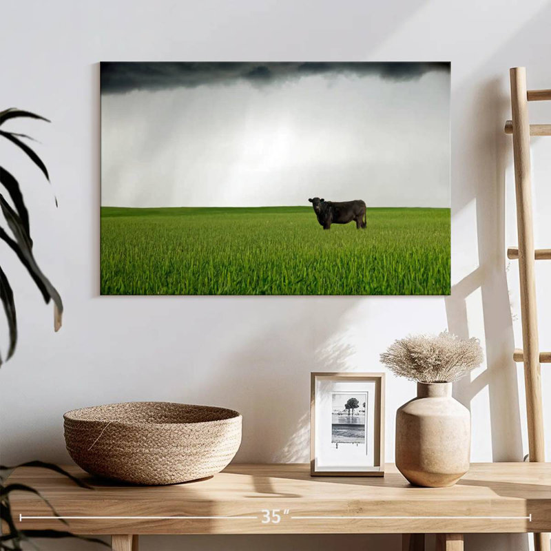 Brampt Angus Cow, 32" H x 48" W