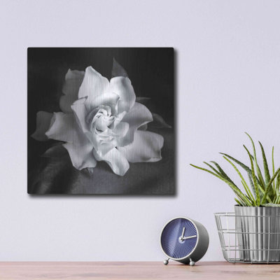 " Gardenia " by Debra Van Swearingen