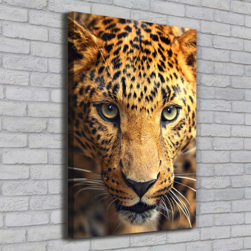 Leopard - Wrapped Canvas Print