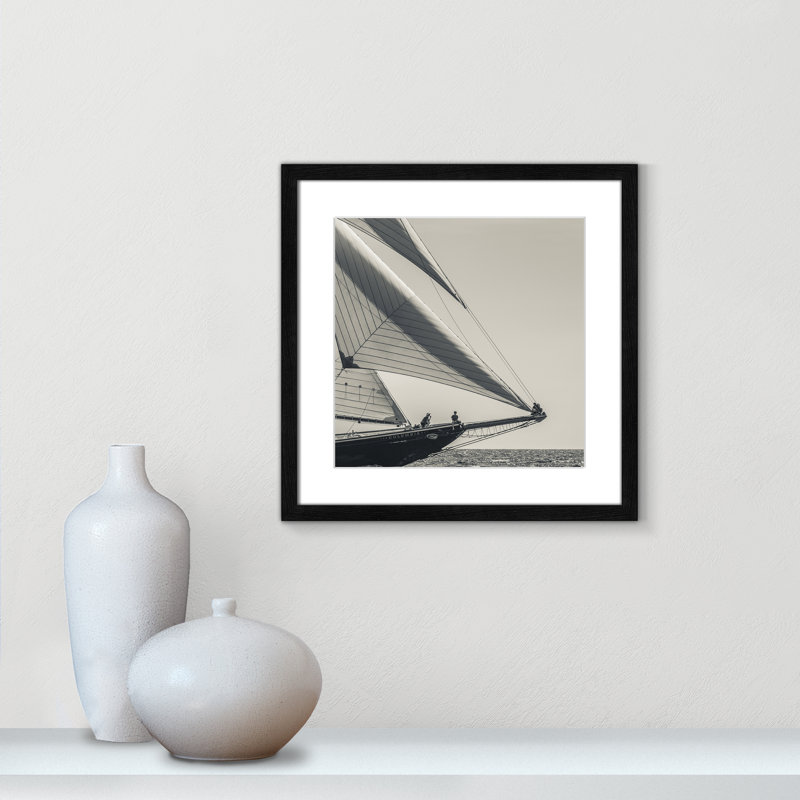 Amaryl «Catching the Sea Breeze» par Danita Delimont - photographie au cadre, Cadre noir, H 18 po x l 18 po x P 1,13 po