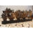 5.5'' H Metal Tabletop Tealight Holder