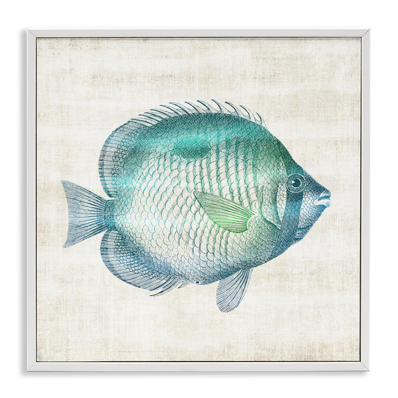 Impression de poisson, Sea Life, giclée encadrée, conception par Susan Arnot, H 17 po x l 17 po