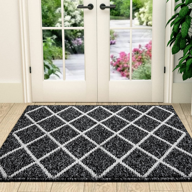 https://assets.wfcdn.com/im/72317180/resize-h755-w755%5Ecompr-r85/2164/216417141/Indoor+Outdoor+Mat+%2C+Non+Slip+Absorb+Moisture+and+Resist+Dirt+Rugs+for+Entrance%2CPatio%2CKitchen.jpg