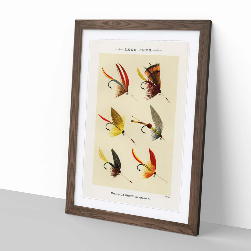 Lake Fishing Flies Version 7 by Mary Orvis Marbury - Framed Print, Walnut, 50cm H x 35cm W x 2cm D