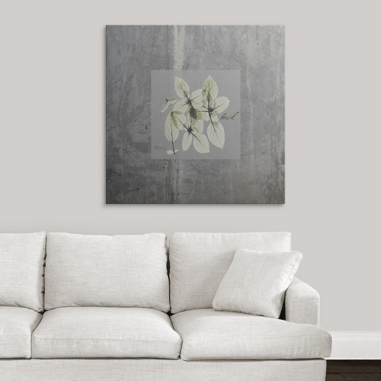 «Concrete Basil» par Redmayne, impression, H 35 po x l 35 po x P 1,5 po, Toile