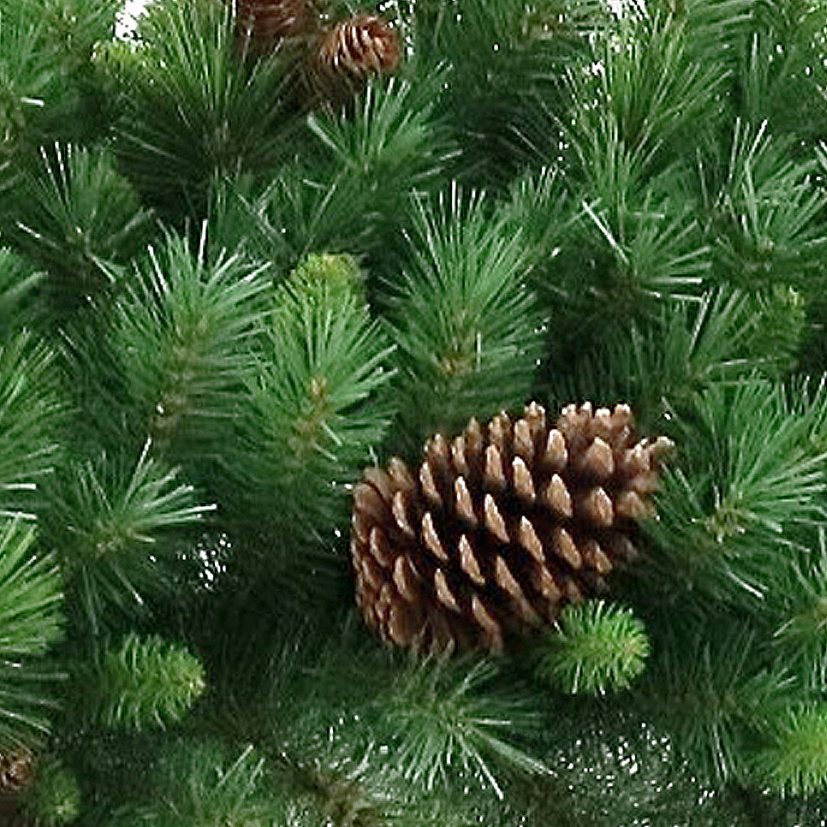 Pre-Lit Spruce Wreath, 48