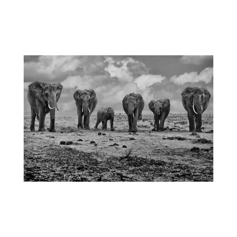 Big Family by Marcel Rebro - Gallery-Wrapped Canvas Giclée on Canvas, 66.04 cm H x 45.72 cm W x 1.91 cm D, Canvas