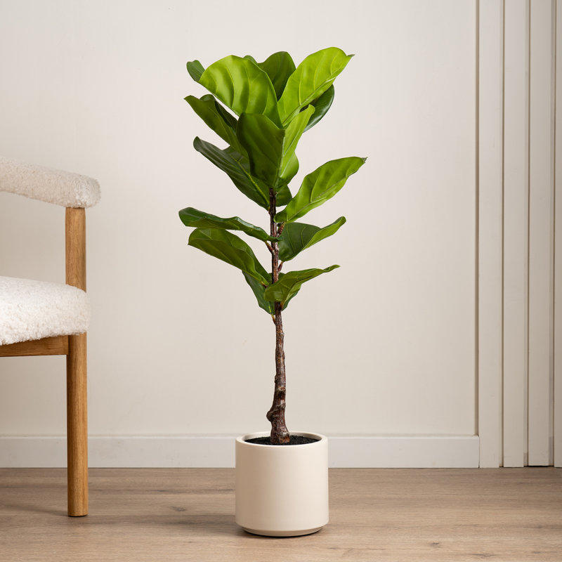 90cm Faux Real Touch Fiddleleaf Fig Tree in Chunky White Pot