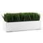 Grass White 16" Rectangle Arrangement