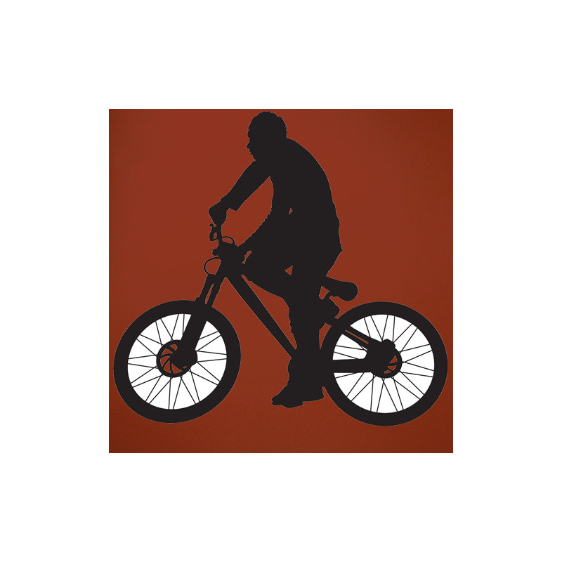 Adhésif décoratif BMX Silhouette II, H 45,5 po x l48 po