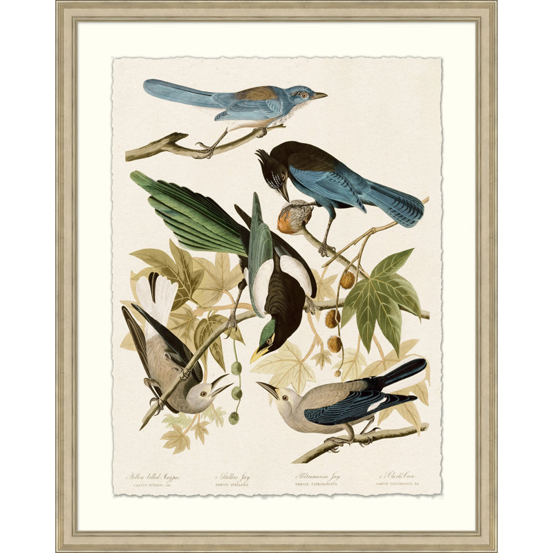 Magpie And Friends Print