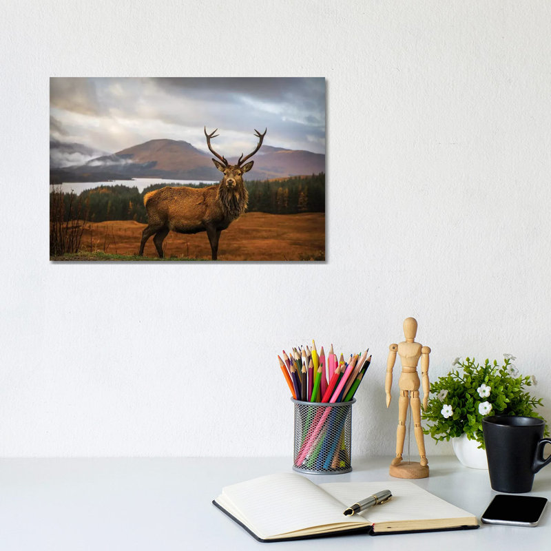 Scottish Stag by Adrian Popan - Wrapped Canvas Gallery-Wrapped Canvas Giclée, 20.32 cm H x 30.48 cm W