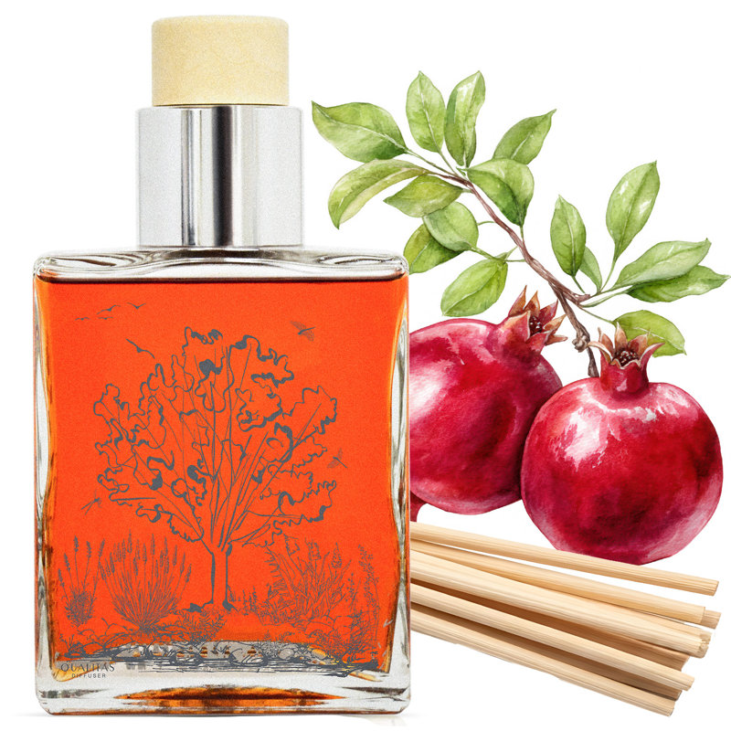 Reed Diffuser Fruity and Holiday No Power Source Required / Manual Powered Reed Diffusers and Sticks