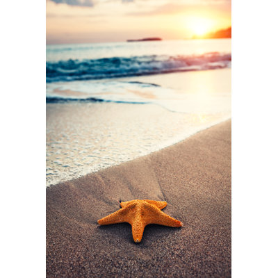 Starfish On The Beach by Borchee - No Frame Art Prints on Canvas