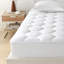 Fitted Mattress Protector Case Pack-1659235827