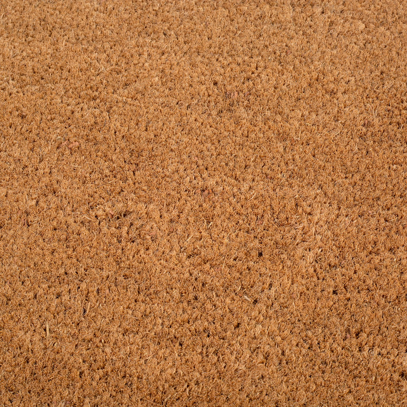 Paillasson Danyra, 24" W x 36" L - Non - Slip