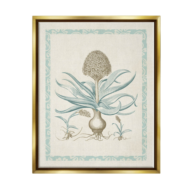 Étude de botanique latino-américaine, art giclée par Vision Studio, H 21 po x l 17 po x P 1,7 po
