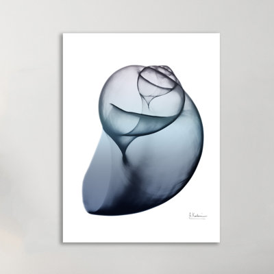 Lavendar Snail 3 - Wrapped Canvas Print