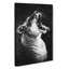 Yawning Lioness - Wrapped Canvas-55320200