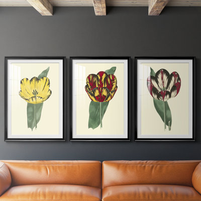 Antique Tulip II - impression encadrée sur mesure de qualité supérieure mate - 3 pièces