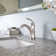 Arterra Single Hole Bathroom Faucet with Drain Assembly