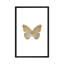 «Silver Butterfly» par Orara Studio - Impression sur toile tendue sur châssis-74405642-74405643-74405644