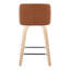 Contemporary Counter Stool
