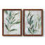 " Tropical Foliage Study I " 2 - Pieces Painting Print