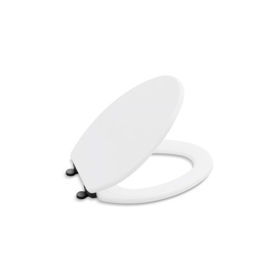 Contemporary Slow-Close Elongated Toilet Seat