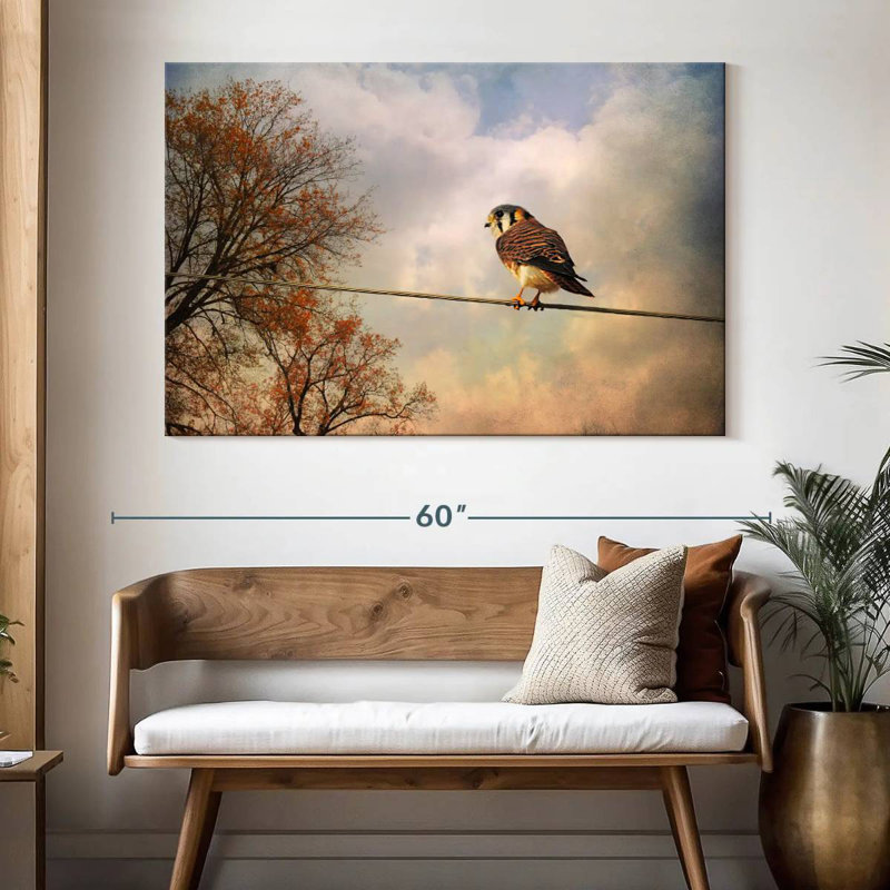 American Kestrel In Autumn, H 34 po x l 51 po