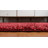 Carlosadrian Oriental Indoor Rug-1941360271