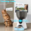 Mangeoire automatique pour chat 4L avec caméra