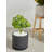 Langport Handmade Pot Planter-367582799-367582784