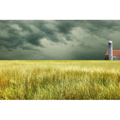 «Yellow Field» par James McLoughlin - photographie sur toile tendue