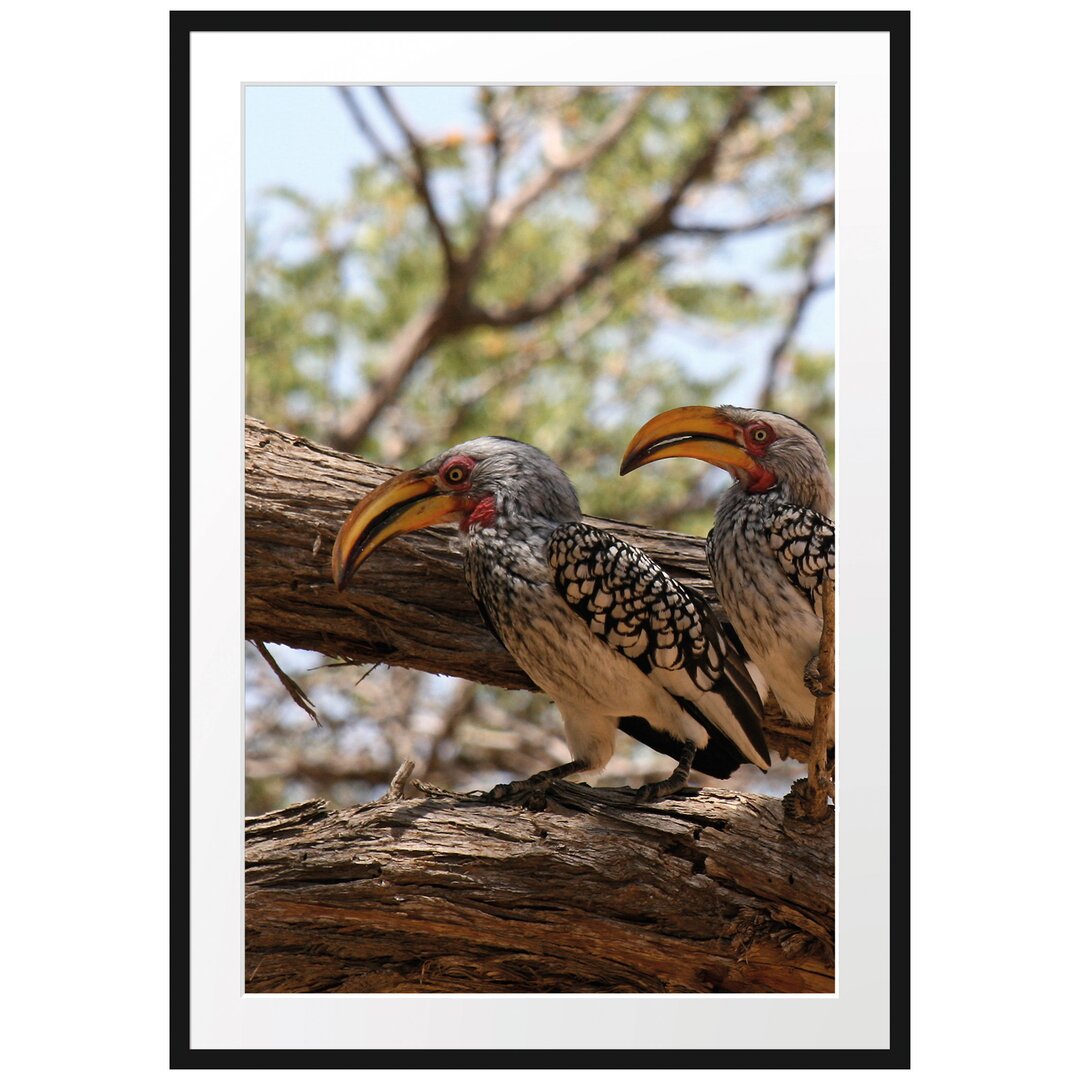 Gerahmtes Poster Zwei exotische Vögel auf Baum