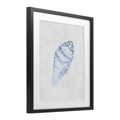 Sea Snail Seashell Framed Print Under Glass, design by Camila Juncos