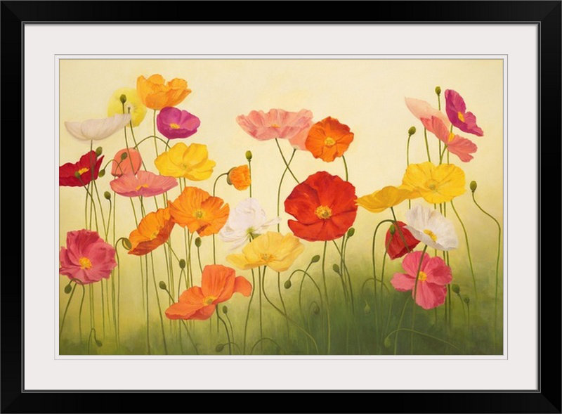«Sunlit Poppies» par Janelle Kroner, reproduction d'art, Cadre noir, H 28 po x l 38 po x p 1 po