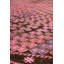Jijim One-of-a-Kind 5'10" X 11'8" Area Rug